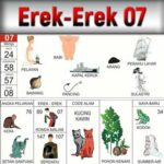 Erek Erek 07 Dalam Buku Mimpi Bergambar Beserta Angka Main
