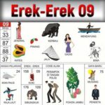 Erek Erek 09 Dalam Buku Mimpi Bergambar Beserta Angka Main