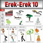 Erek Erek 10 Dalam Buku Mimpi Bergambar Beserta Angka Main