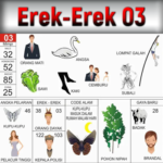 Erek Erek 03 Dalam Buku Mimpi Bergambar Beserta Angka Main