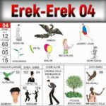 Erek Erek 04 Dalam Buku Mimpi Bergambar Beserta Angka Main