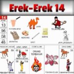 Erek Erek 14 Dalam Buku Mimpi Bergambar Beserta Angka Main