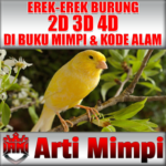 Arti Mimpi Erek Erek Burung 2D 3D 4D Dalam Buku Mimpi Dan Kode Alam