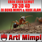 Arti Mimpi Erek Erek Semut 2D 3D 4D Dalam Buku Mimpi Dan Kode Alam