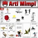 Buku Mimpi 43 Bergambar