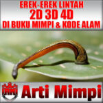 Arti Mimpi Erek Erek Lintah 2D 3D 4D Dalam Buku Mimpi Dan Kode Alam