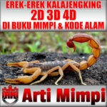 Arti Mimpi Erek Erek Kalajengking 2D 3D 4D Dalam Buku Mimpi Dan Kode Alam